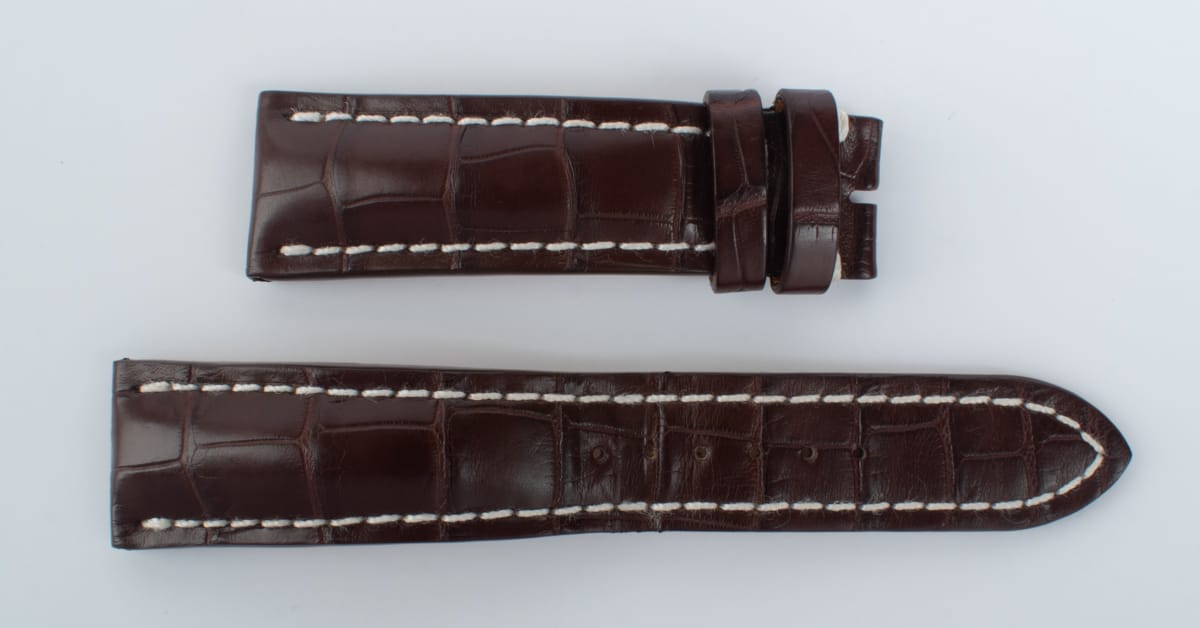 Photo of of Alligator Strap