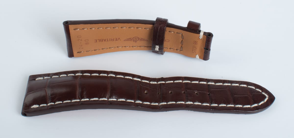 Yet another Photo of  of Alligator Strap