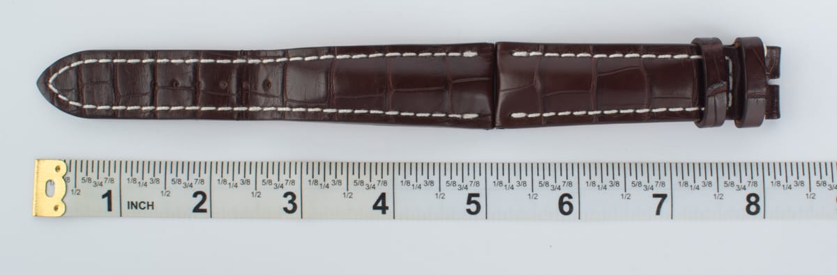 And another photo of of Alligator Strap