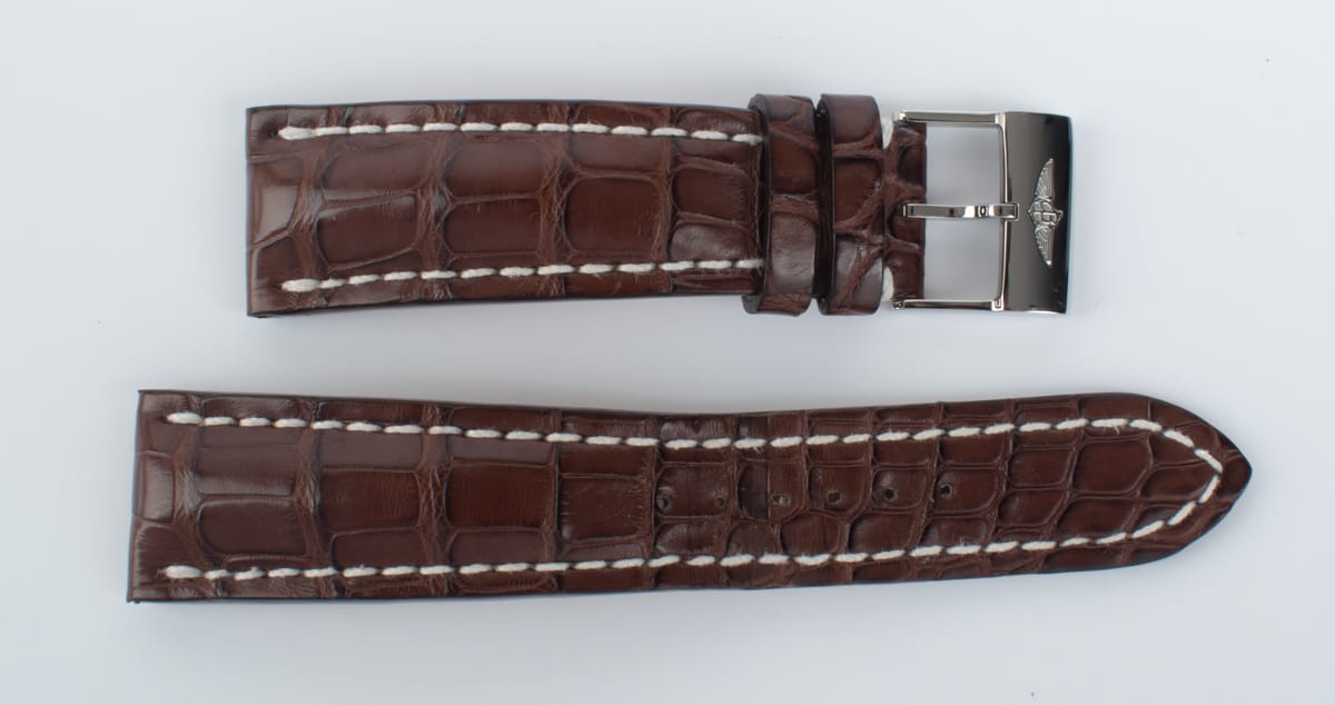 Photo of of Alligator Strap