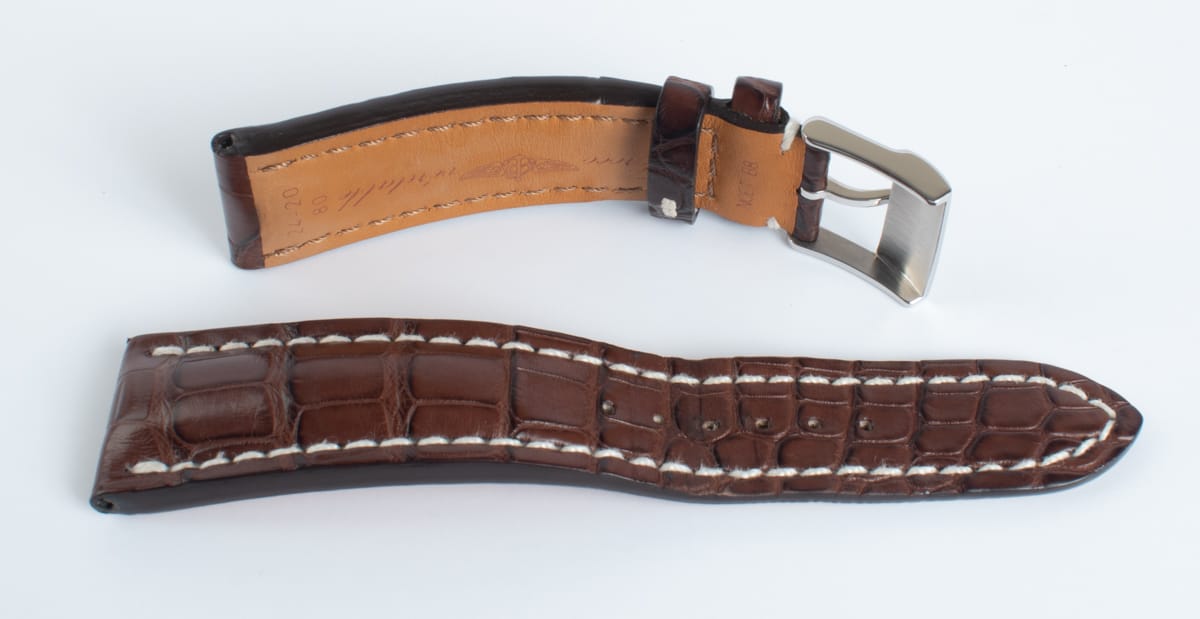 Yet another Photo of  of Alligator Strap