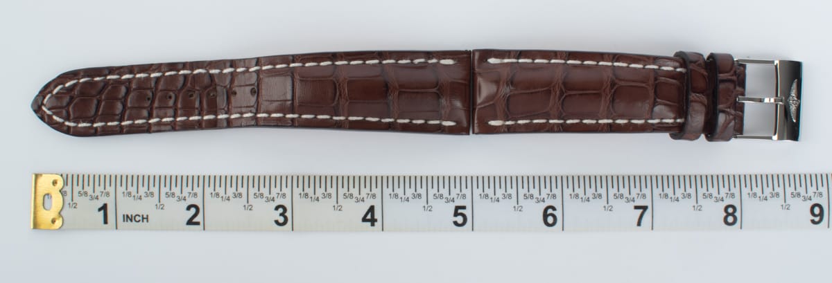 And another photo of of Alligator Strap