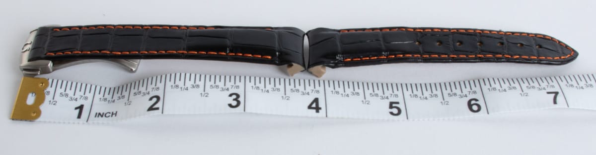 Extra Shot of Alligator Strap for Planet Ocean 37.5 