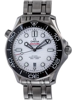 Omega Seamaster GMT Great White 2538.20