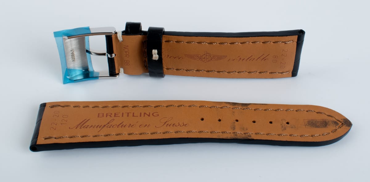 Yet another Photo of  of Alligator strap