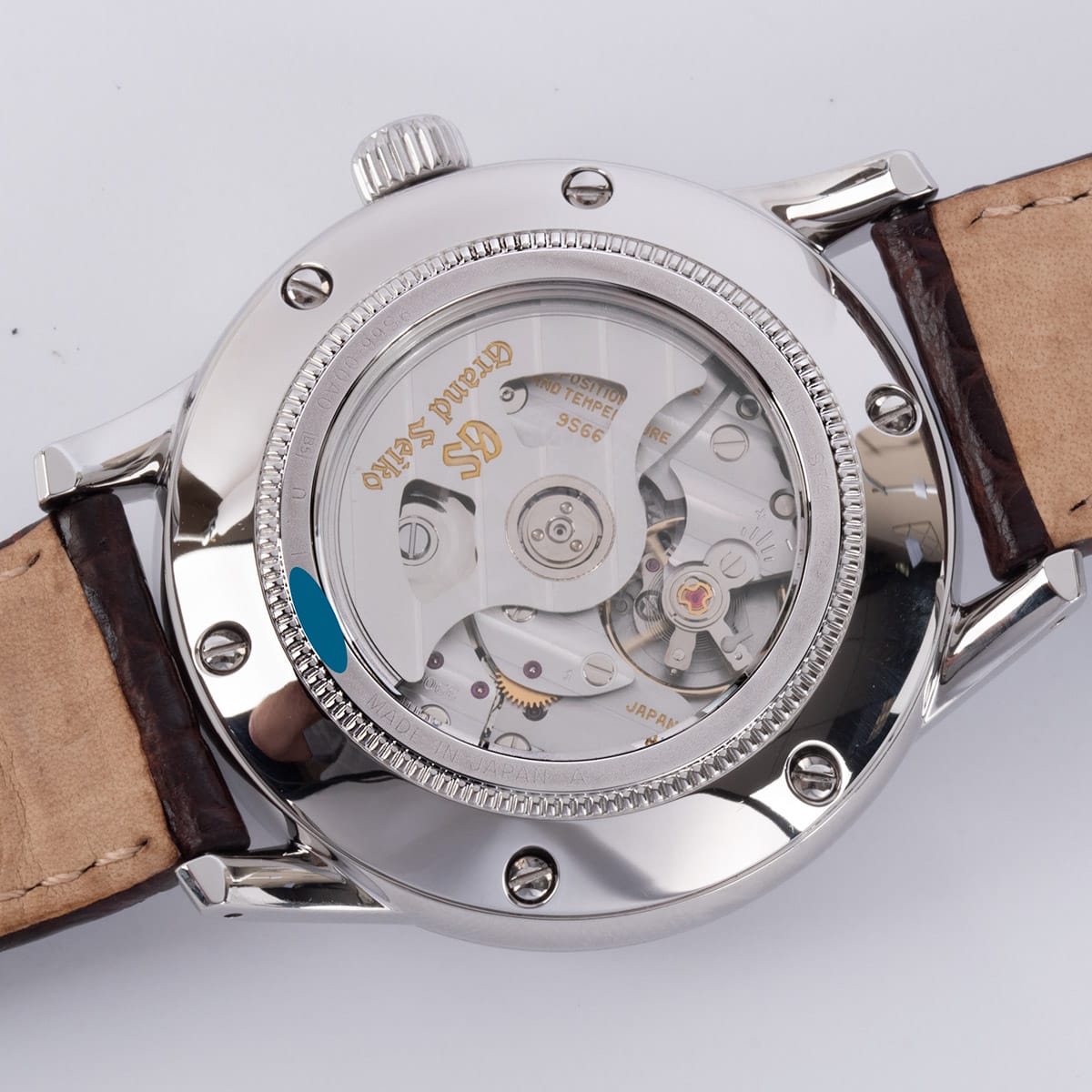 Caseback of Elegance GMT Toge Special Edition