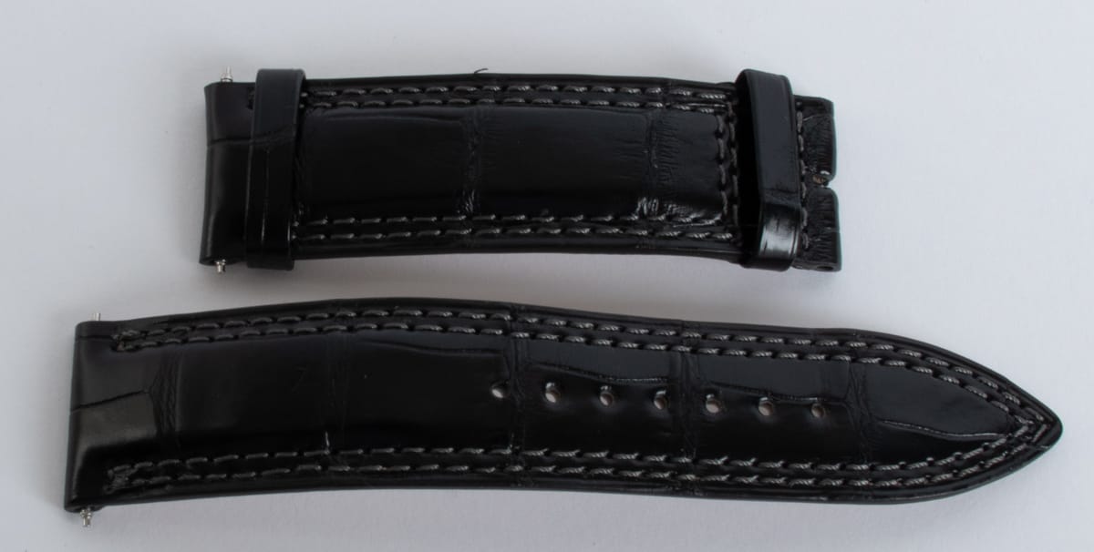 Front View of Alligator Strap