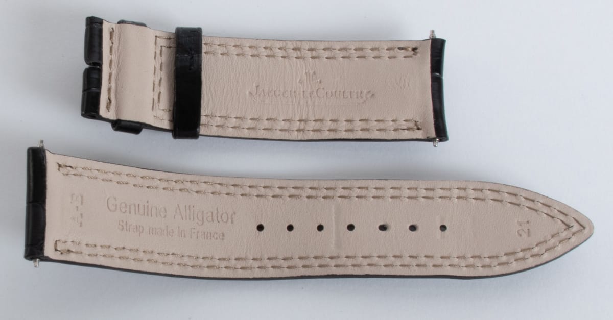 Rear / Band View of Alligator Strap