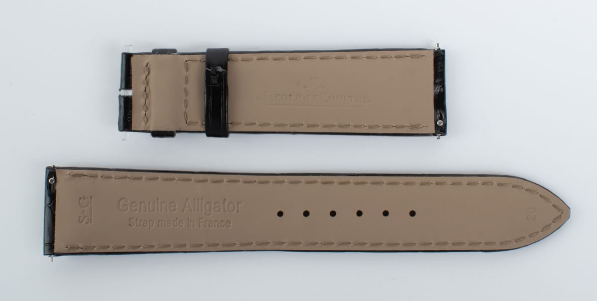 Another Photo of  of Alligator Strap