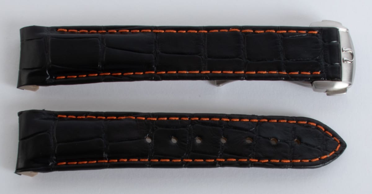 Front View of Alligator Strap for Planet Ocean 37.5 