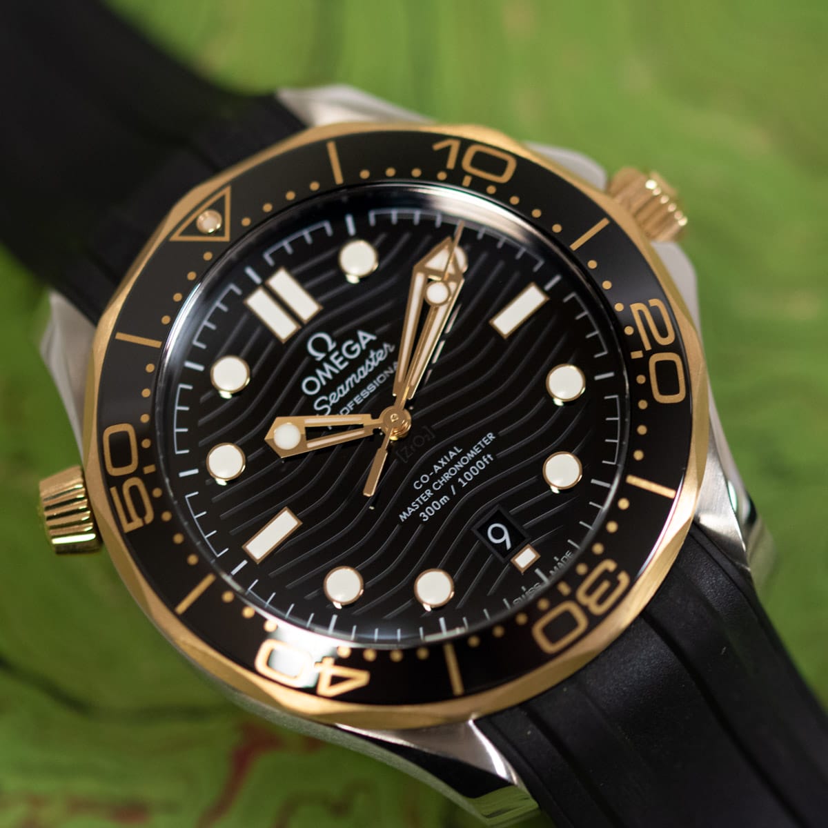 Extra Shot of Seamaster Diver 300M Master Chronometer