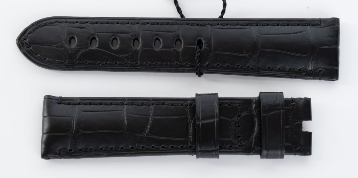 Front View of Alligator Strap XL