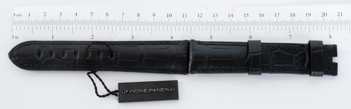 9' Side Shot of Alligator Strap XL