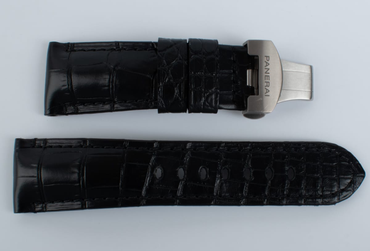 Photo of of Alligator Strap and Buckle