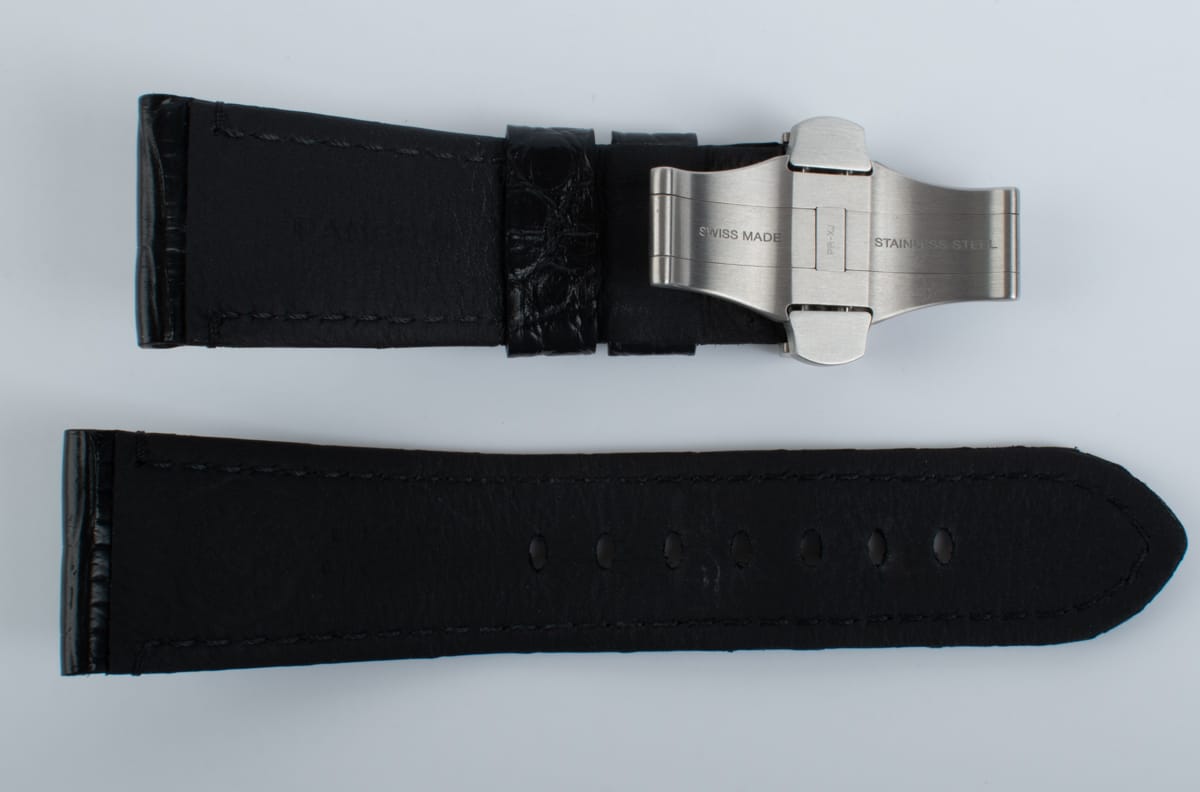 Photo of of Alligator Strap and Buckle