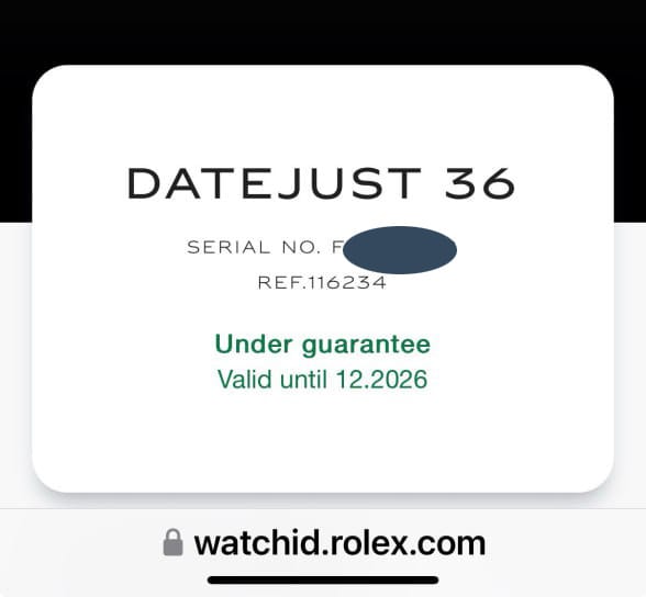 Extra Included Items of Datejust 36