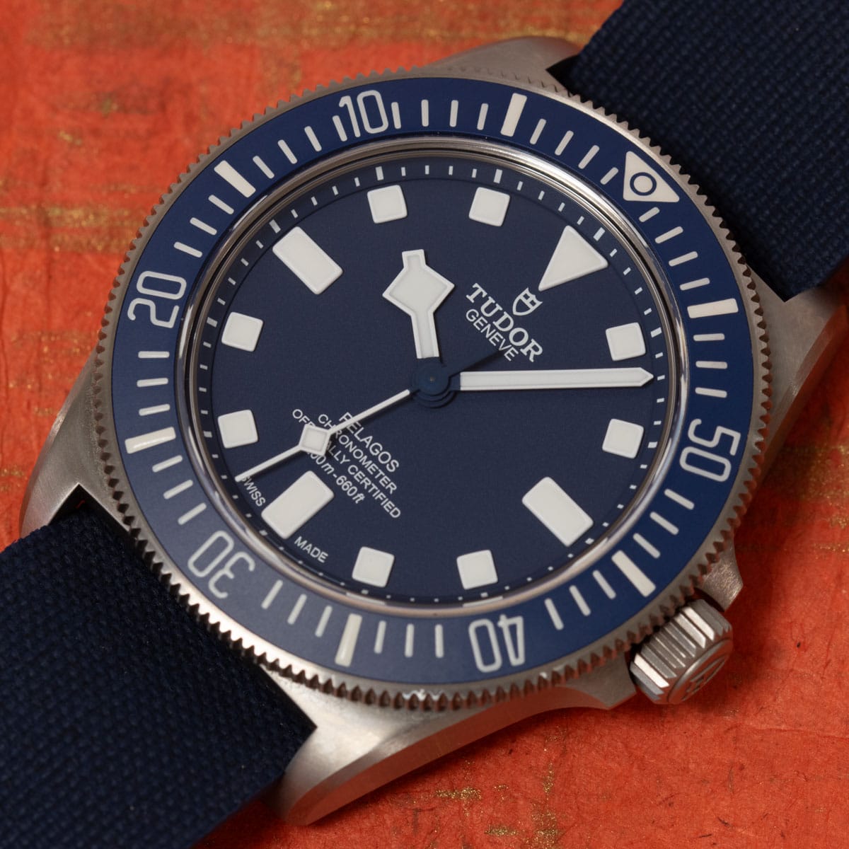 Stylied photo of  of Pelagos FXD