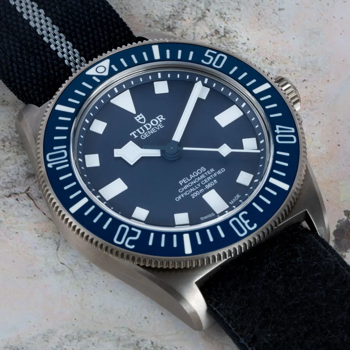 Stylied photo of  of Pelagos FXD Marine Nationale M.N. 24