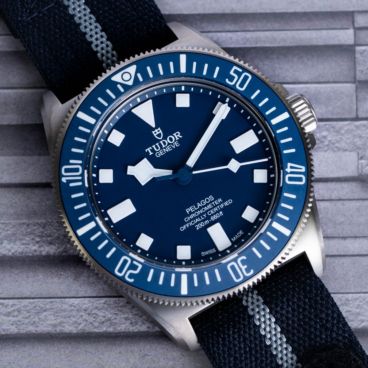 Stylied photo of  of Pelagos FXD Marine Nationale M.N. 24